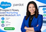 configure salesforce pardot lead nurturing flows mulesoft api